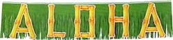 5' Aloha Fringed Banner