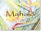 Bird of Paradise Mahalo (Thank You) Cards