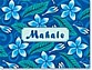 Plumeria Winter Mahalo (Thank You) Cards