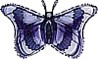 26" Purple Butterfly