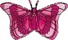 26" Ruby Butterfly