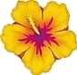 30" Hawaiian Flower (Hibiscus)