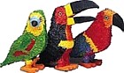 Tropical Birds - Parrot, Macaw, Toucan