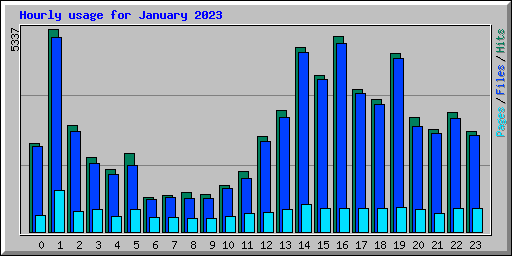 Hourly usage for January 2023