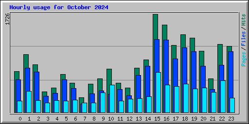 Hourly usage for October 2024