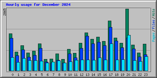 Hourly usage for December 2024